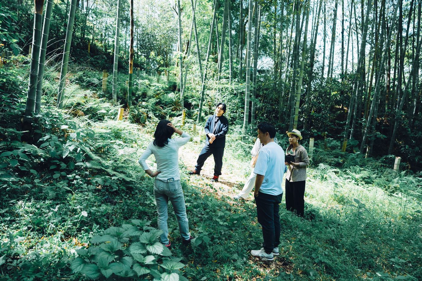 竹林の中で立ち止まって話す人たち
