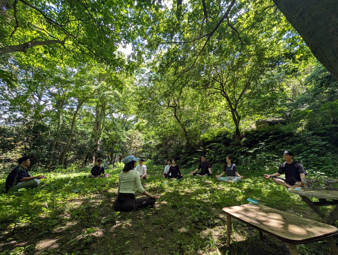 木漏れ日の下で座る人たち